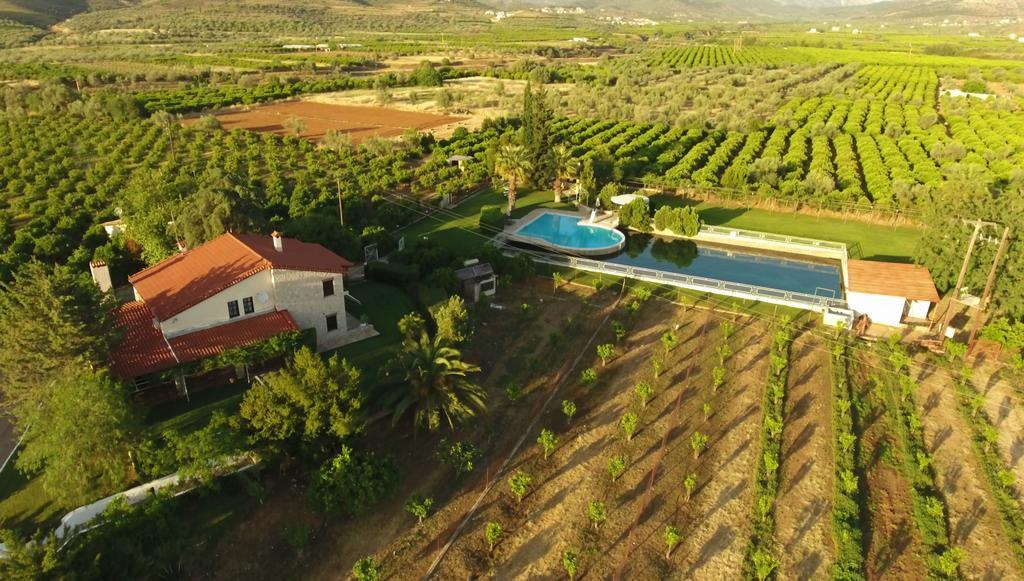 Orange Grove Villa Nea Tirins Exteriör bild